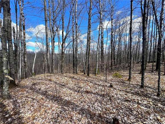 20 Acres of Recreational Land for Sale in Sandstone, Minnesota