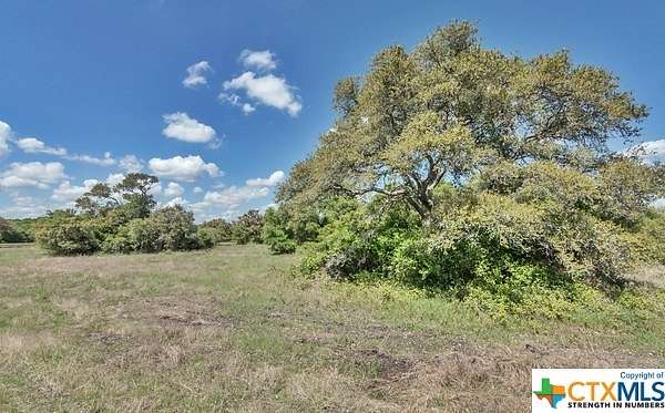 11.018 Acres of Land for Sale in Edna, Texas