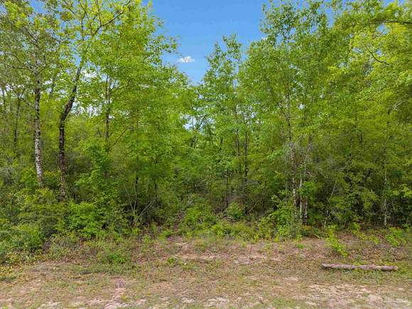 5.05 Acres of Residential Land for Sale in Jay, Florida