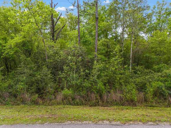 5.1 Acres of Residential Land for Sale in Jay, Florida