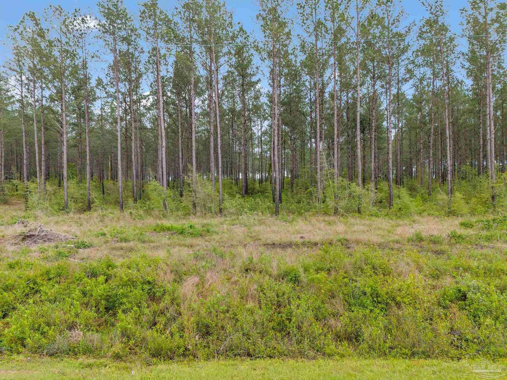 5.3 Acres of Residential Land for Sale in Jay, Florida