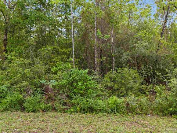 5.5 Acres of Residential Land for Sale in Jay, Florida