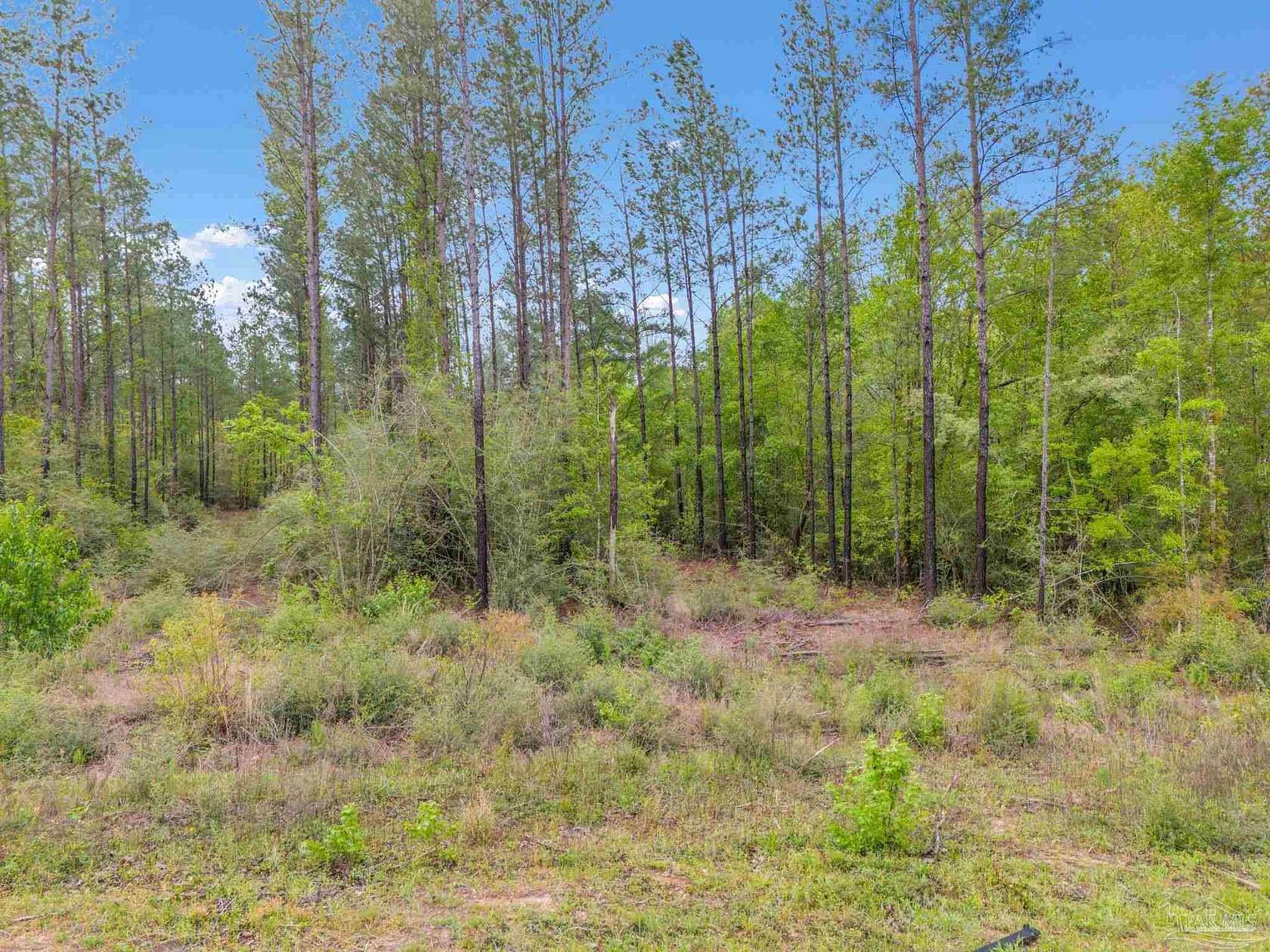5 Acres of Residential Land for Sale in Jay, Florida
