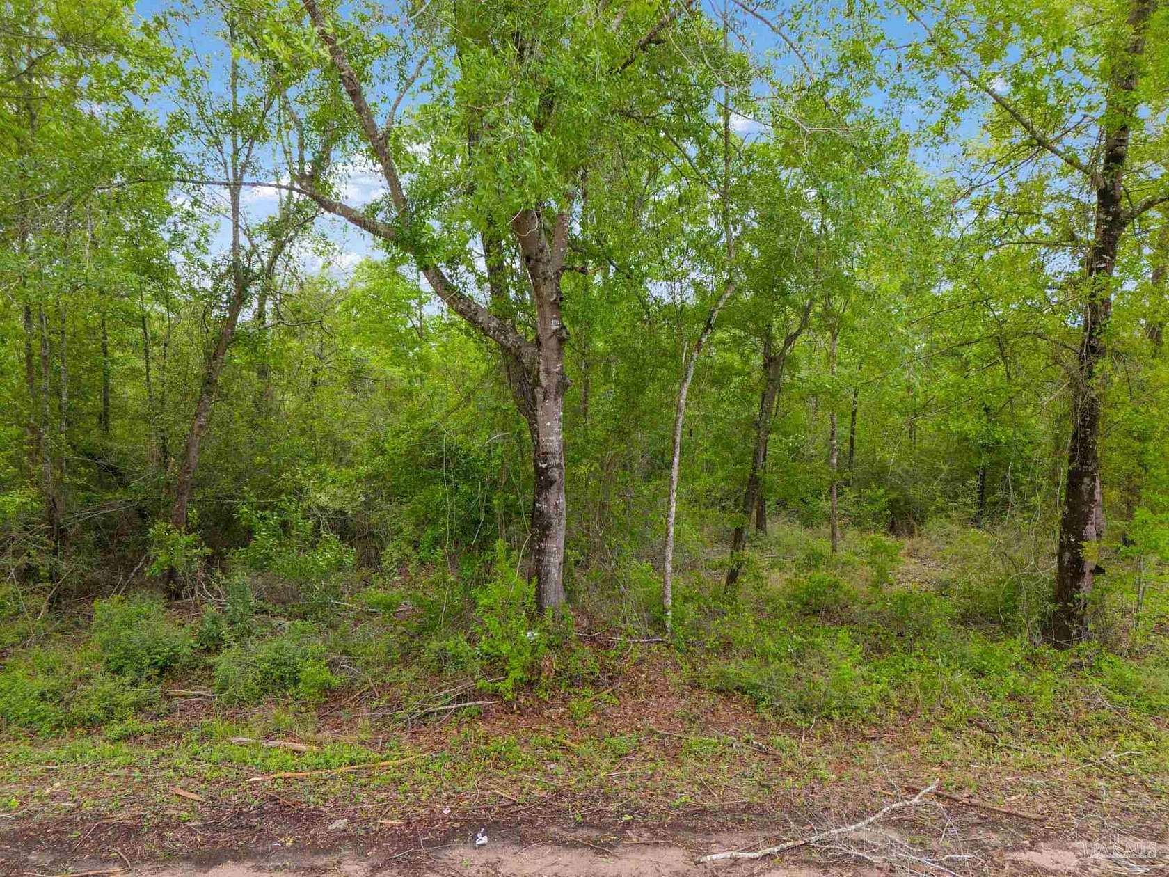 5.1 Acres of Residential Land for Sale in Jay, Florida
