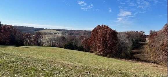 23 Acres of Land for Sale in Villa Ridge, Missouri