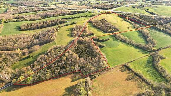 39 Acres of Land for Sale in Villa Ridge, Missouri