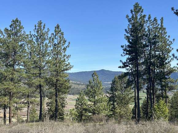 7.5 Acres of Land for Sale in Colville, Washington