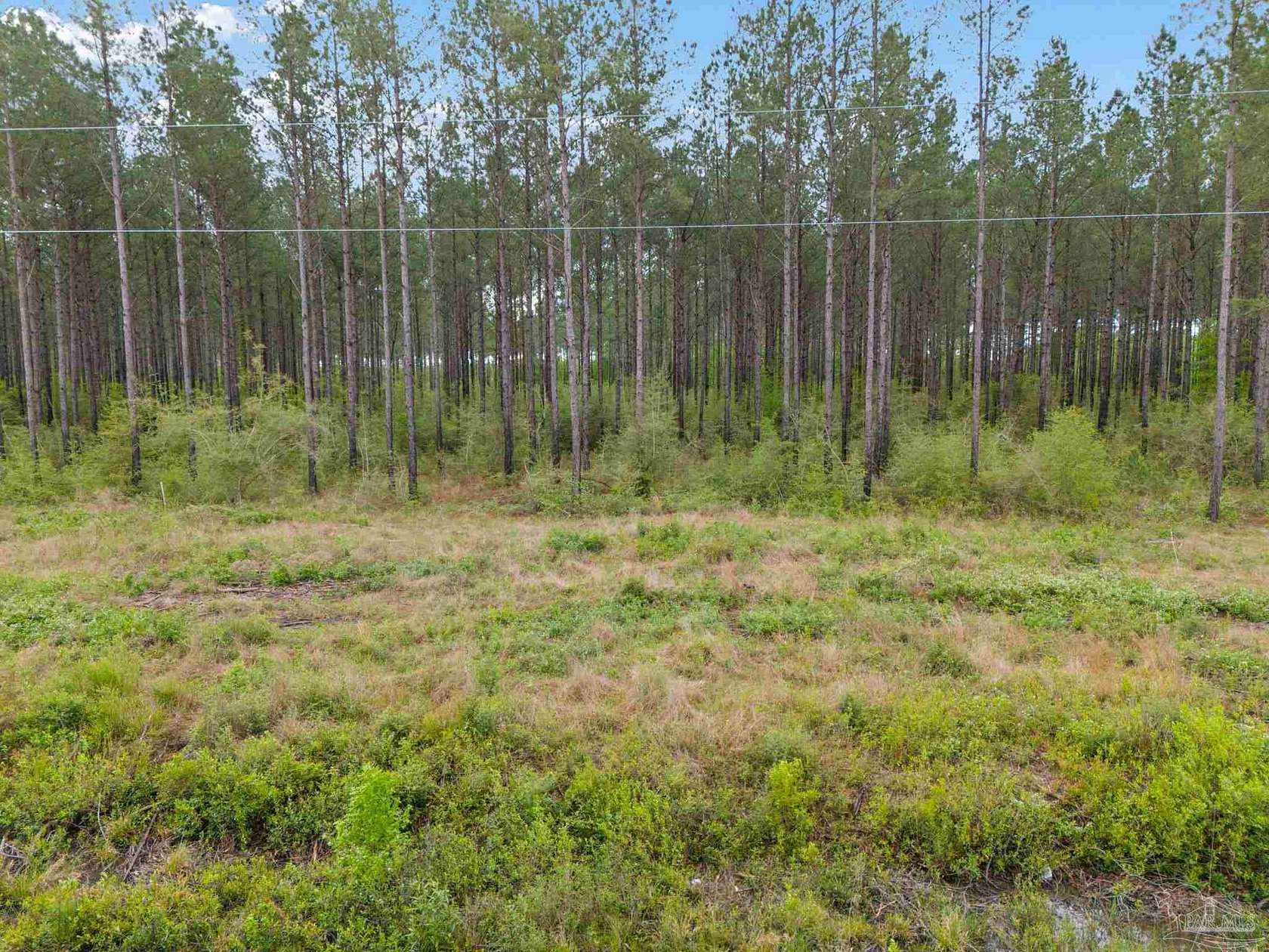 5.3 Acres of Residential Land for Sale in Jay, Florida