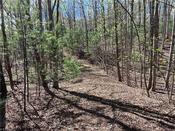 3.8 Acres of Residential Land for Sale in Lowgap, North Carolina