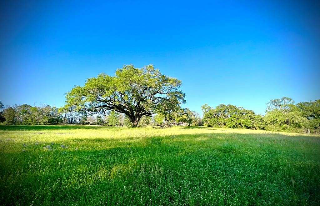 22.4 Acres of Agricultural Land with Home for Sale in Liberty, Mississippi