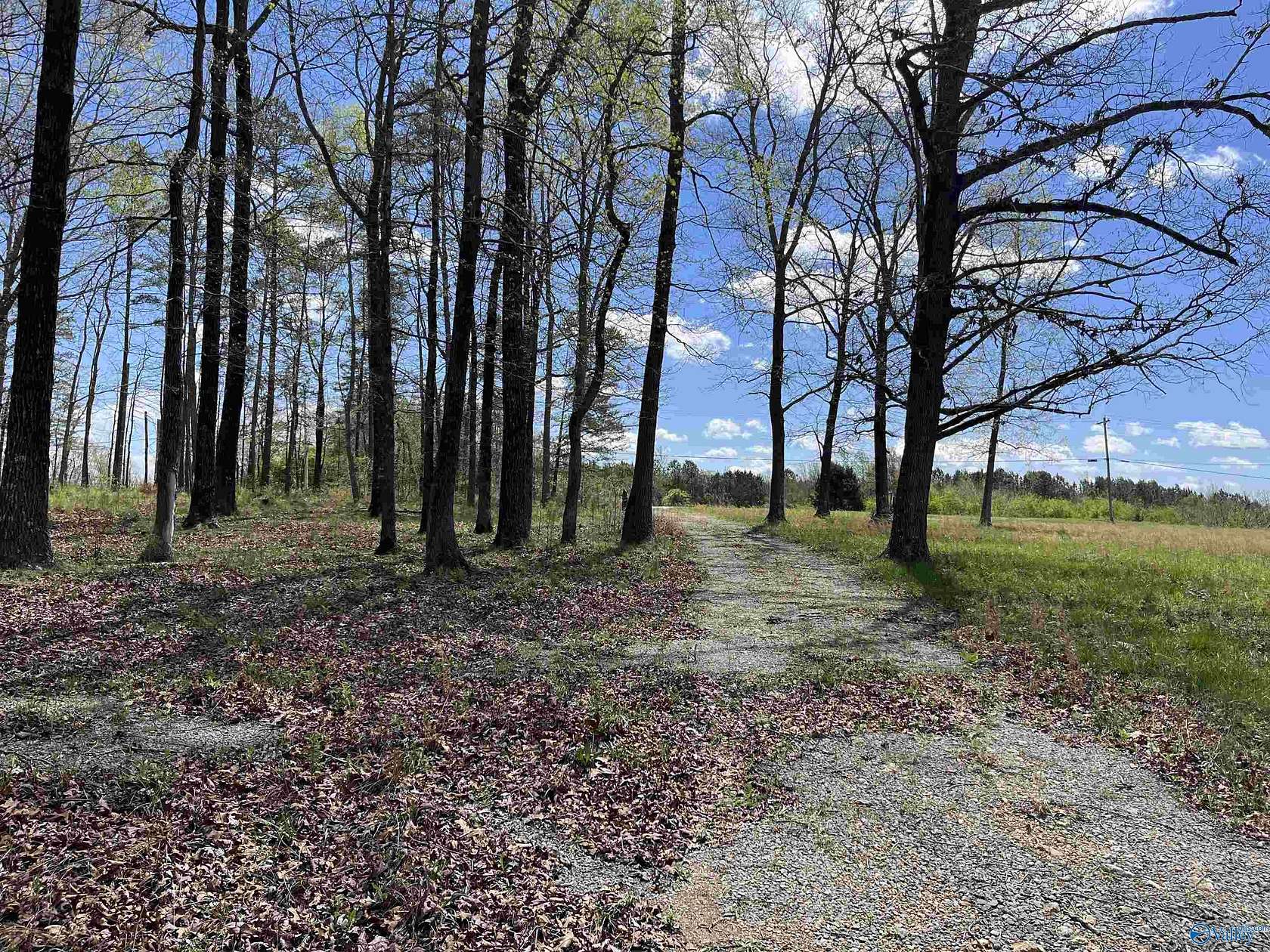 10 Acres of Residential Land for Sale in Pisgah, Alabama