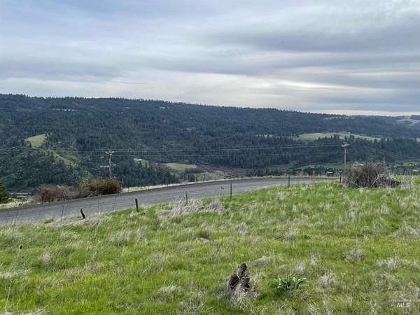 7.28 Acres of Land for Sale in Lenore, Idaho