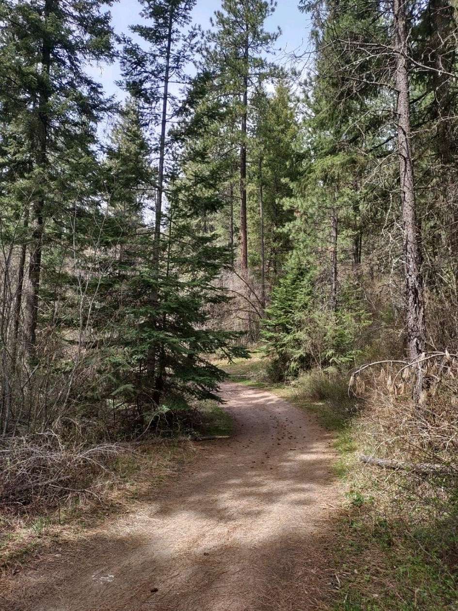 30 Acres of Land for Sale in Loon Lake, Washington