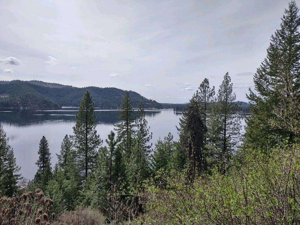 30 Acres of Land for Sale in Loon Lake, Washington
