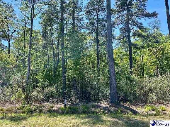 35.9 Acres of Recreational Land for Sale in Mullins, South Carolina