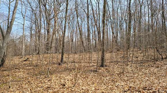1.4 Acres of Residential Land for Sale in Mears, Michigan