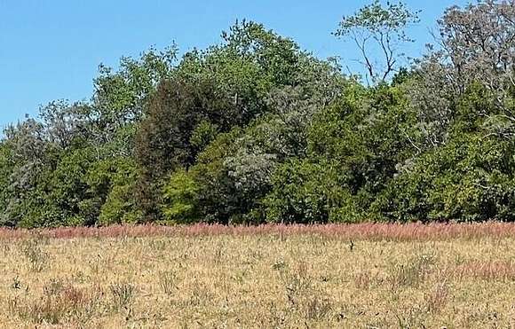 43.5 Acres of Agricultural Land for Sale in Barnwell, South Carolina