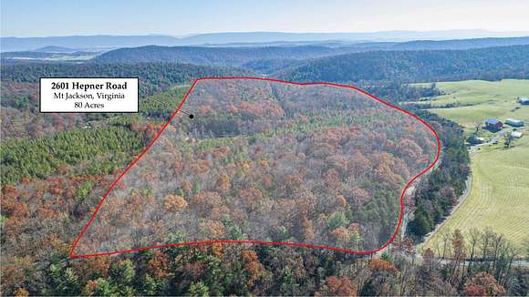 80.7 Acres of Land for Sale in Mount Jackson, Virginia