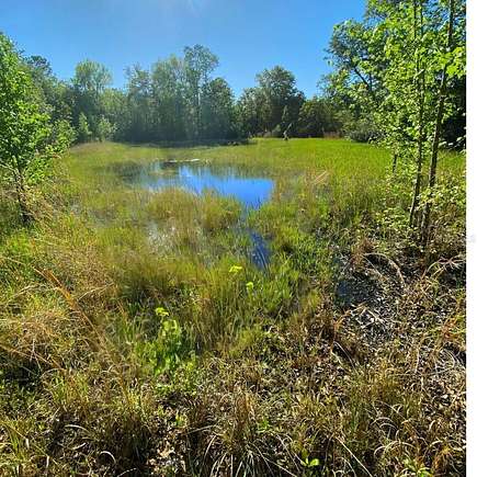 20 Acres of Recreational Land for Sale in White Springs, Florida
