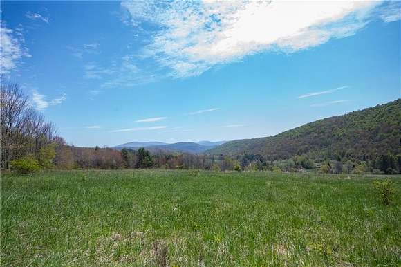 19.1 Acres of Land for Sale in Andes, New York