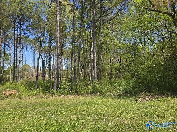 1 Acre of Residential Land for Sale in Toney, Alabama