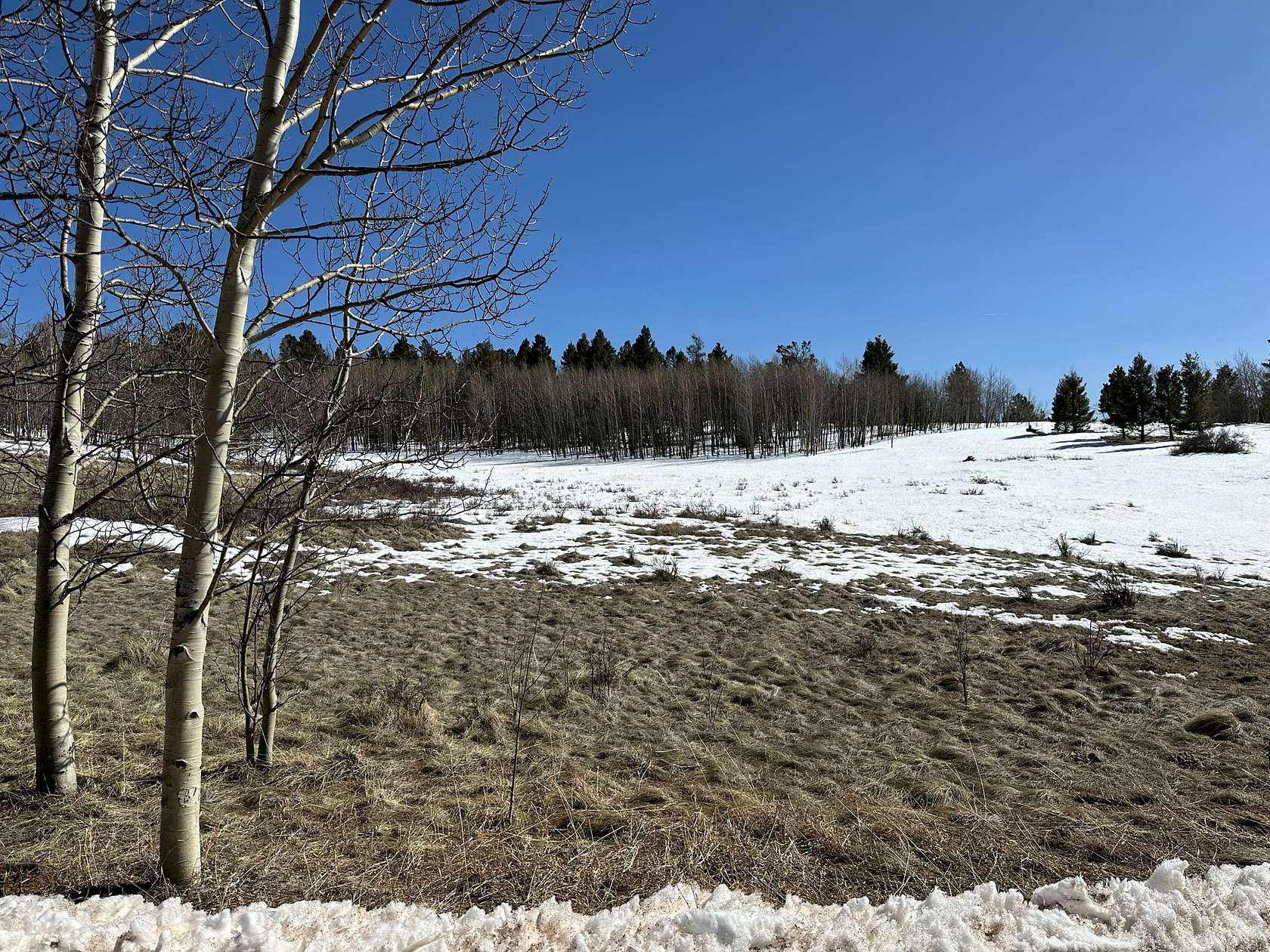 2.1 Acres of Recreational Land for Sale in Guffey, Colorado