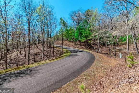 1 Acre of Residential Land for Sale in Ellijay, Georgia