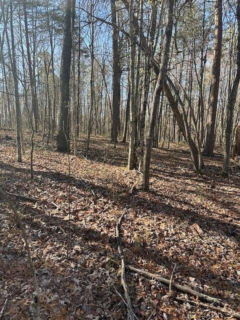 5.6 Acres of Residential Land for Sale in Wilder, Tennessee