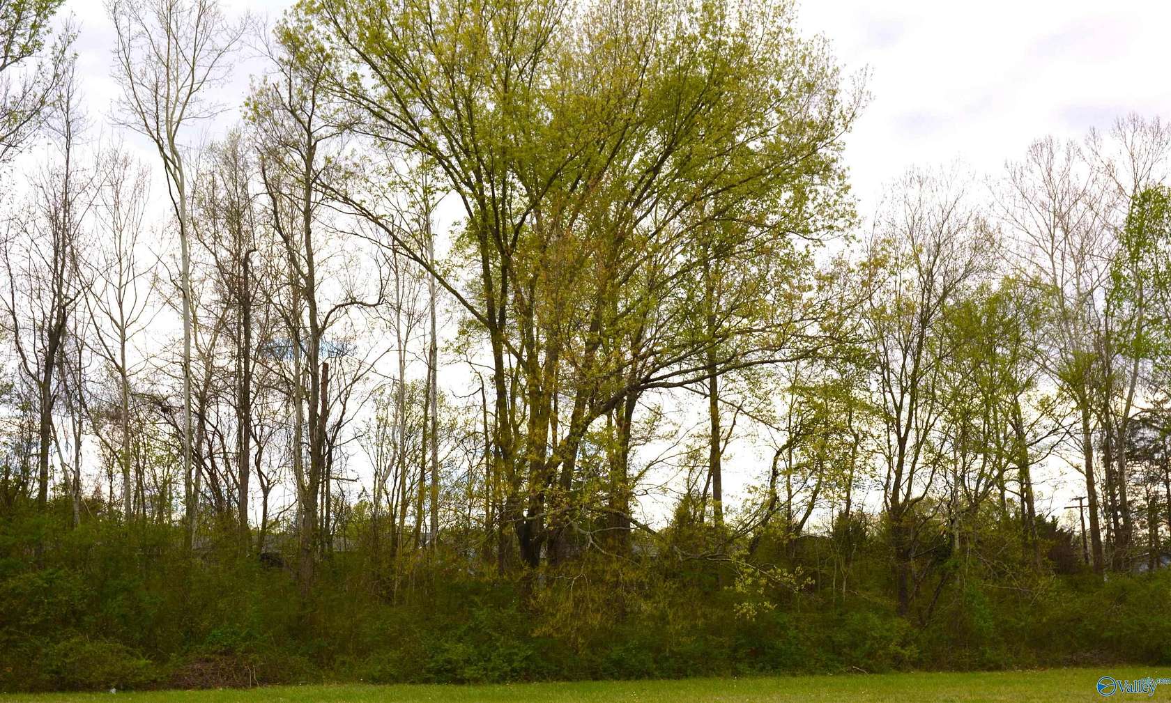 0.8 Acres of Commercial Land for Sale in Scottsboro, Alabama