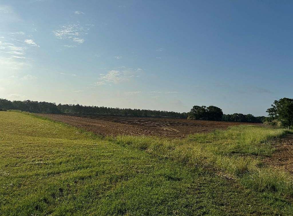 10.8 Acres of Land for Sale in Rehobeth, Alabama