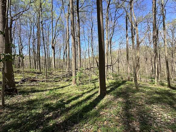 14.7 Acres of Land for Sale in Cheshire, Ohio