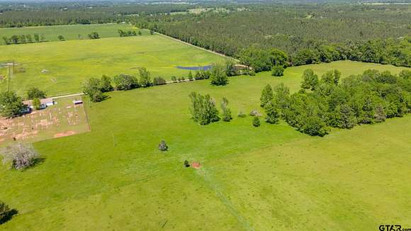 11.7 Acres of Agricultural Land for Sale in Troup, Texas