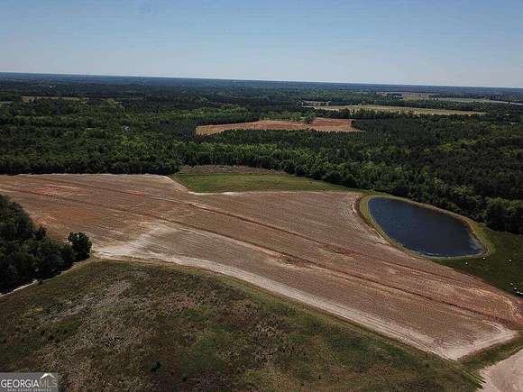 154 Acres of Recreational Land & Farm for Sale in Statesboro, Georgia