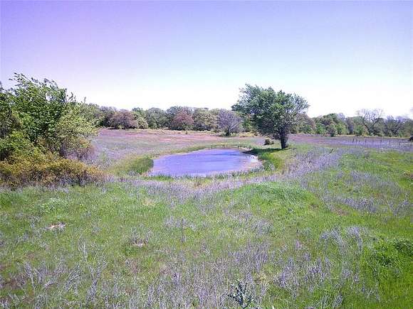 74 Acres of Agricultural Land for Sale in St. Jo, Texas