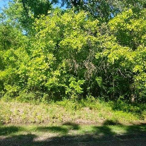 0.86 Acres of Land for Sale in Log Cabin, Texas