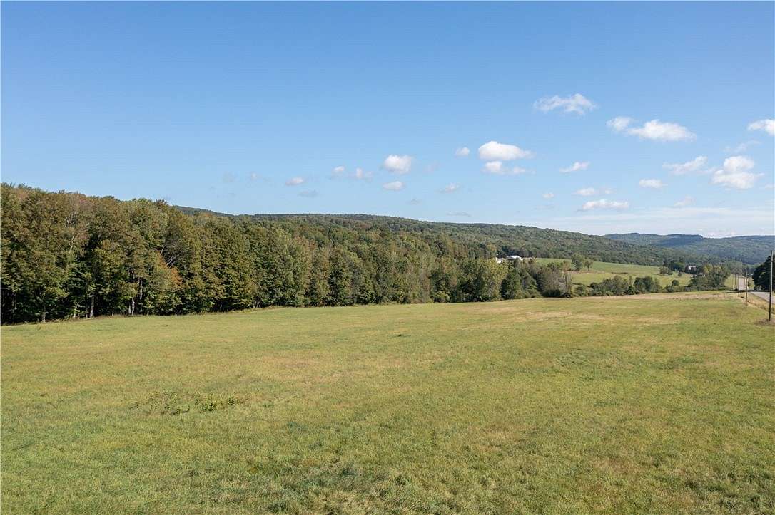 94 Acres of Land for Sale in Grove, New York