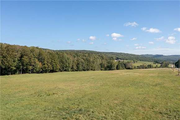 94 Acres of Land for Sale in Canaseraga, New York