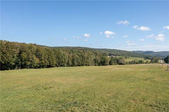94 Acres of Land for Sale in Grove, New York