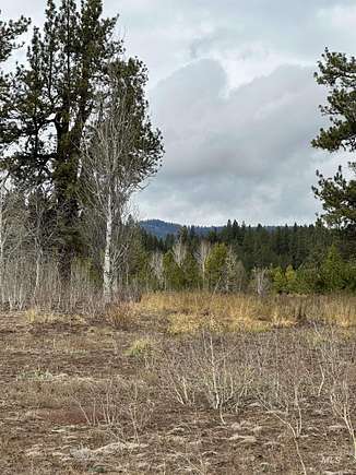 4.9 Acres of Residential Land for Sale in McCall, Idaho