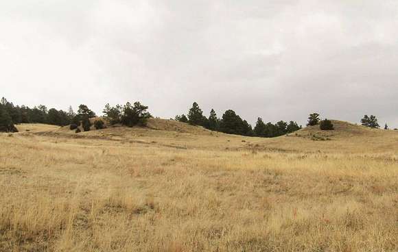 40 Acres of Land for Sale in Fort Laramie, Wyoming