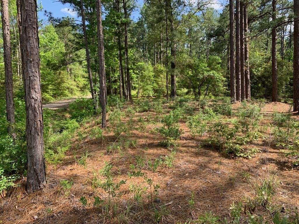 0.22 Acres of Residential Land for Sale in Brookeland, Texas