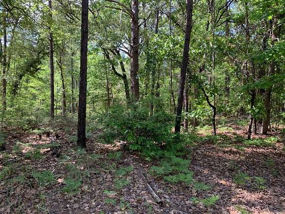 0.27 Acres of Residential Land for Sale in Brookeland, Texas