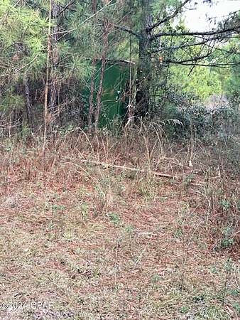 31.5 Acres of Land with Home for Sale in Grand Ridge, Florida