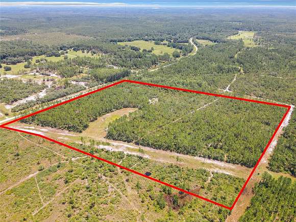 40.5 Acres of Agricultural Land for Sale in Morriston, Florida