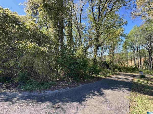 0.58 Acres of Residential Land for Sale in Dora, Alabama