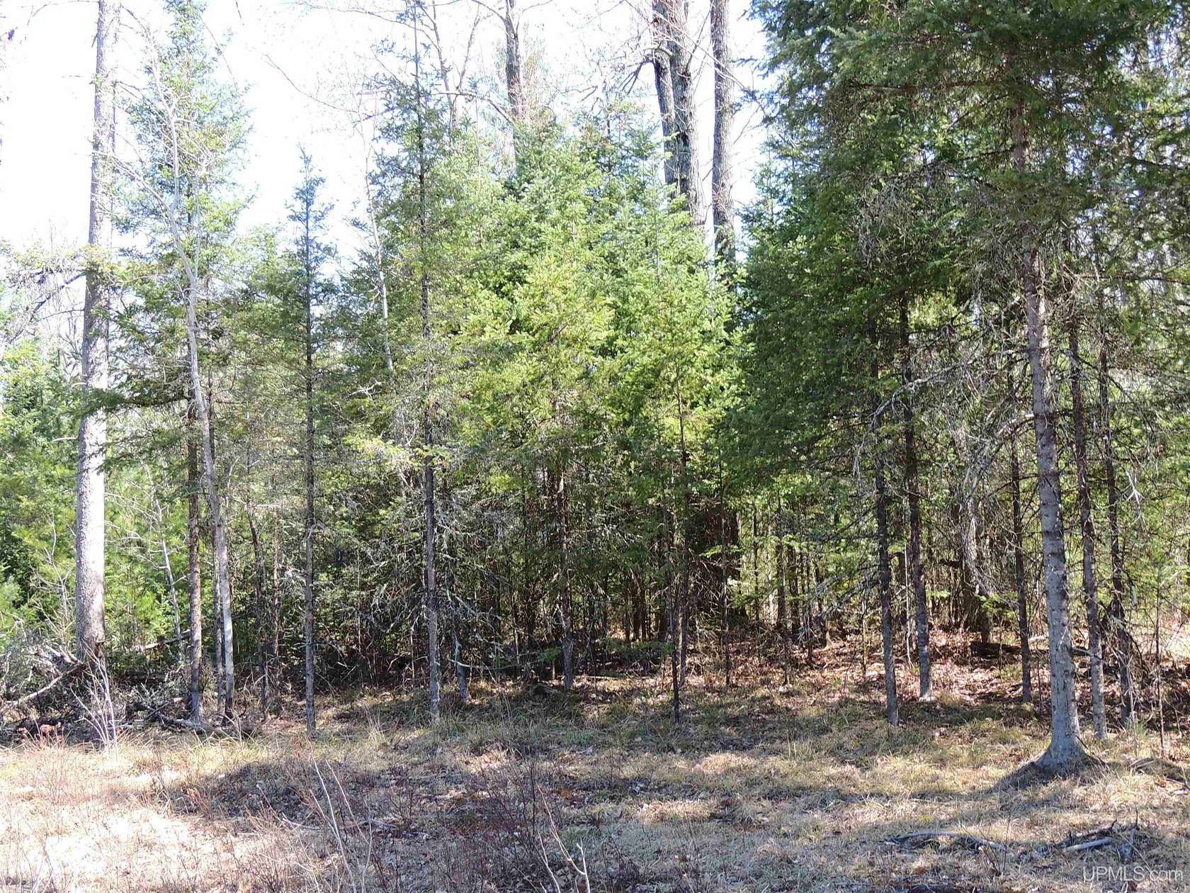 40 Acres of Recreational Land for Sale in Daggett, Michigan