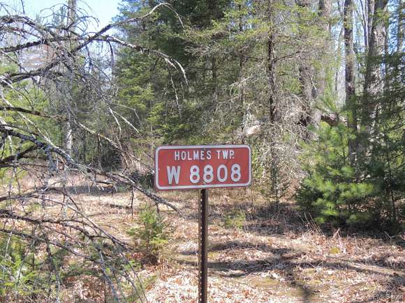 40 Acres of Recreational Land for Sale in Daggett, Michigan