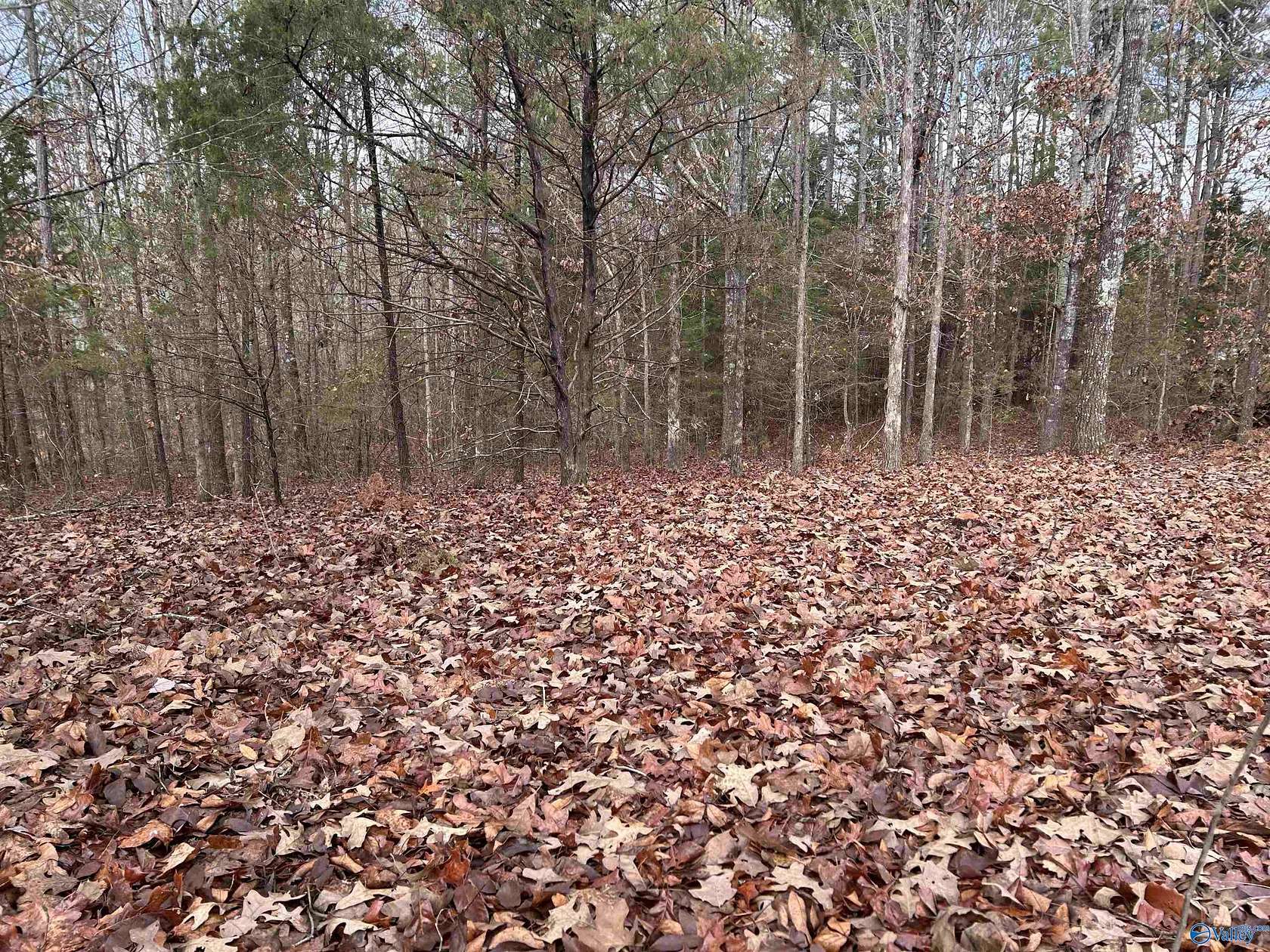 10 Acres of Land for Sale in Cherokee, Alabama