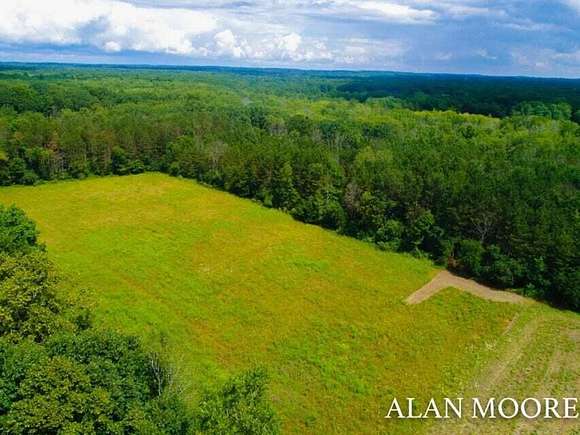 20.2 Acres of Recreational Land & Farm for Sale in Kent City, Michigan