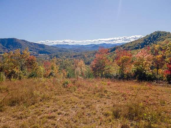115 Acres of Recreational Land & Farm for Sale in Franklin, North Carolina